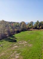 Beachview