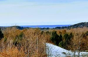 Lot 135 Horizon Ridge