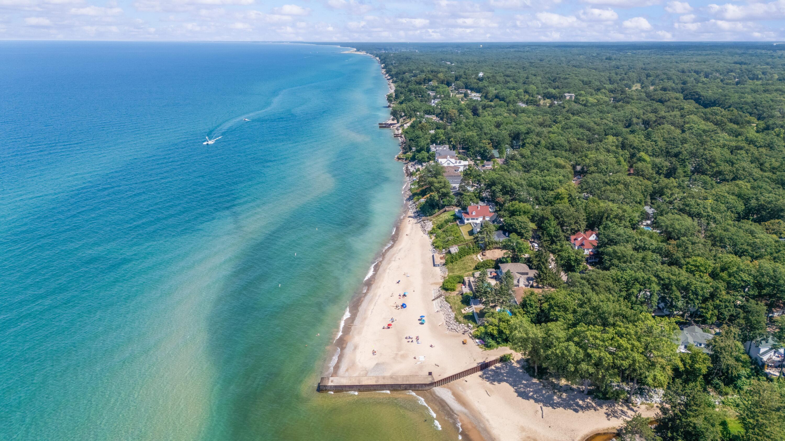 Image 4: Drone View of Lake Michigan Shoreline