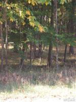 10331 Mountain View Trail