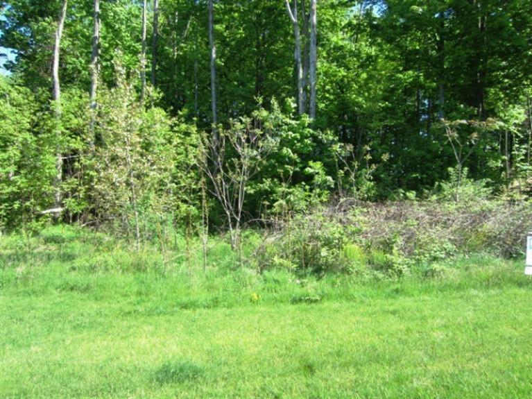 Image 4: Buildable large lot