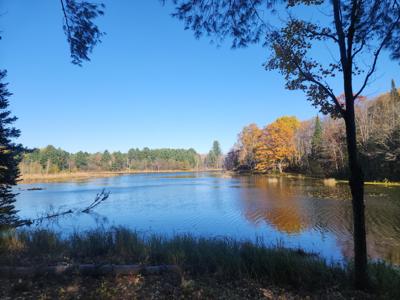 18948 Indian Lake Rd Road