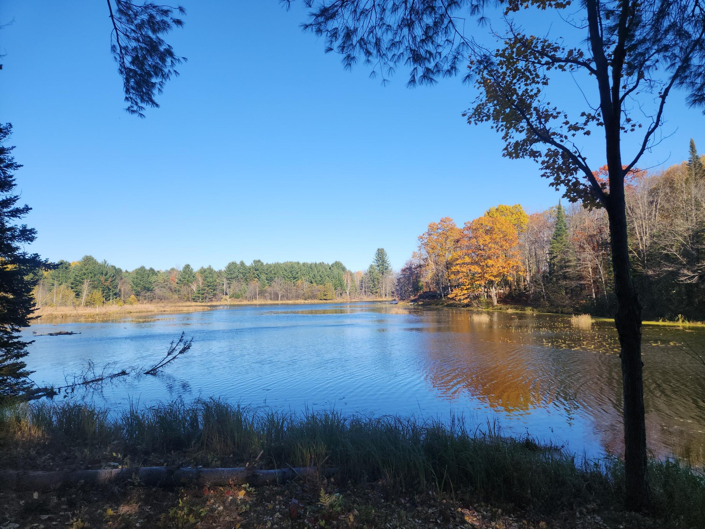 Image 1: 20251028_153316