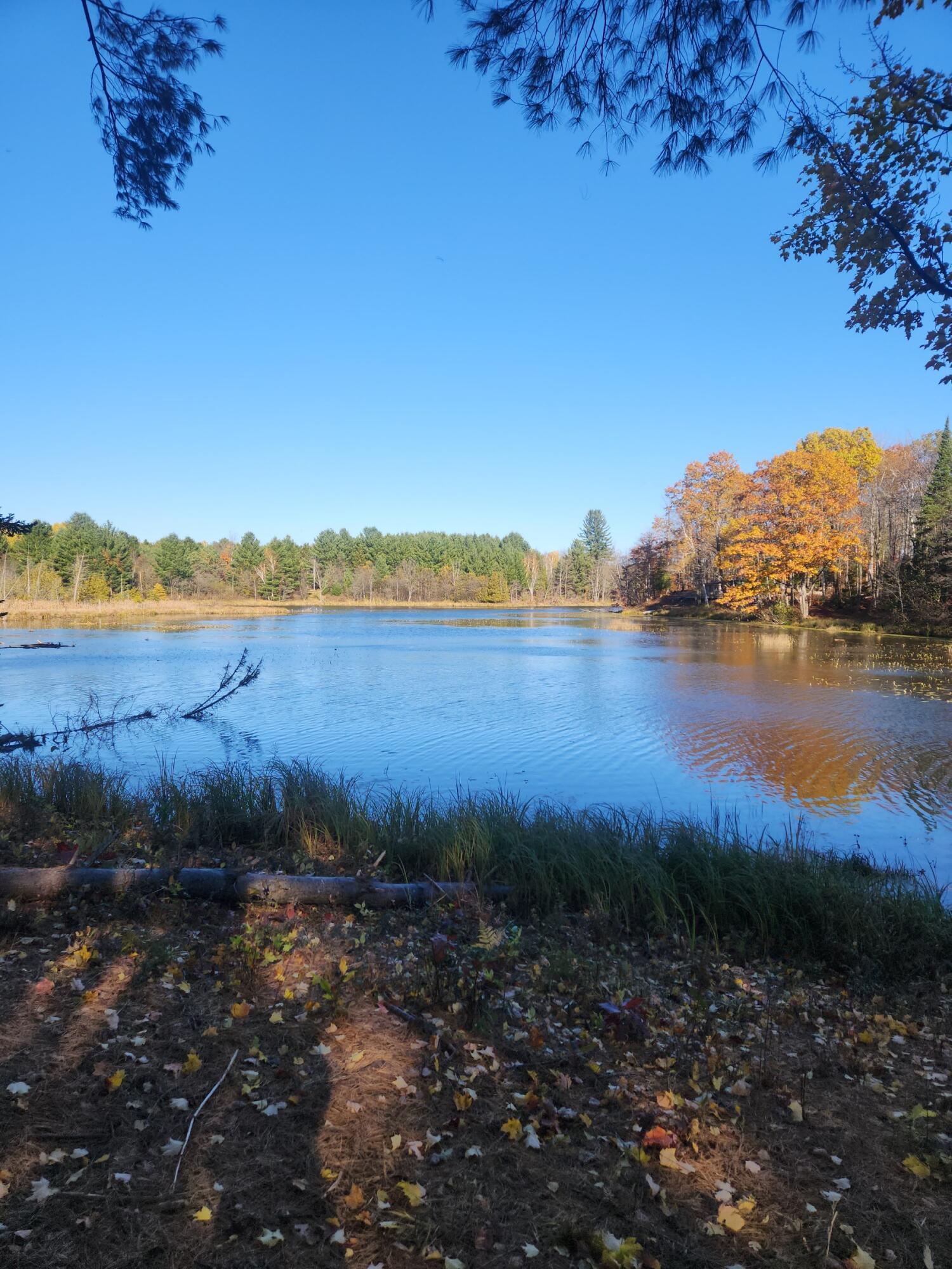 Image 3: 20251028_153320