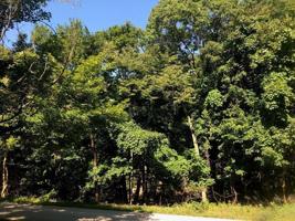 0 North Shore Estates