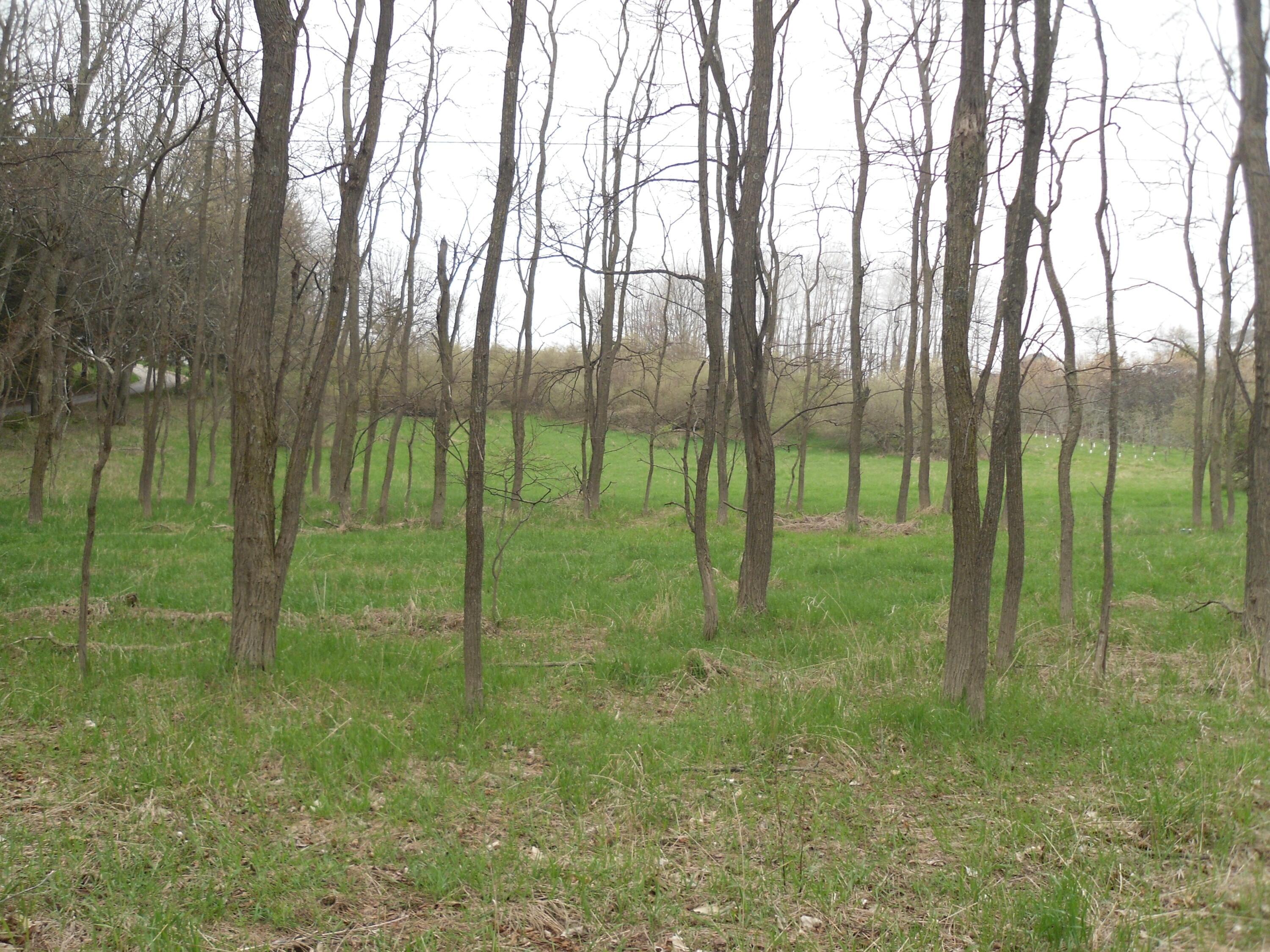 Image 2: SAM_0990