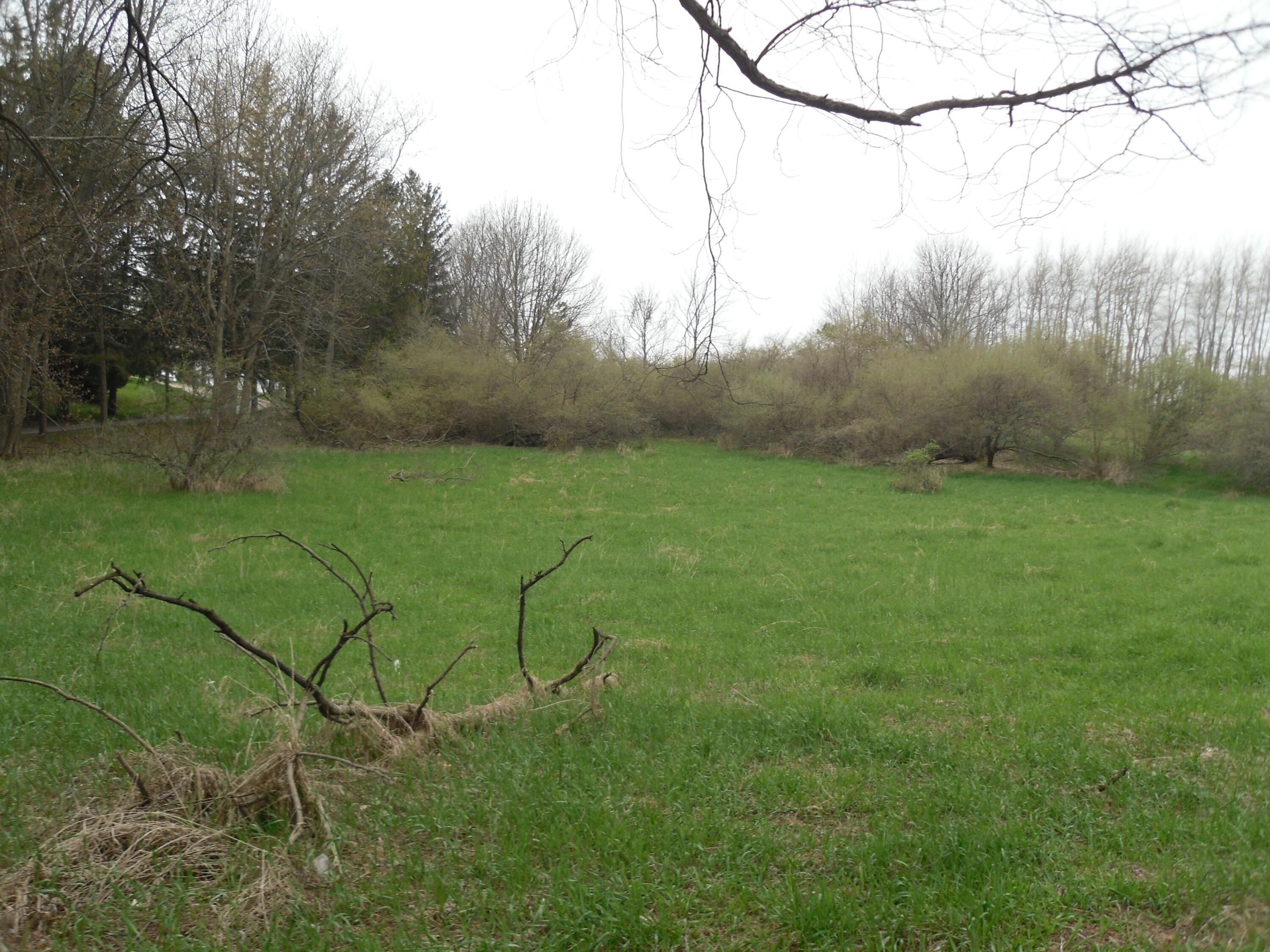 Image 3: SAM_0991