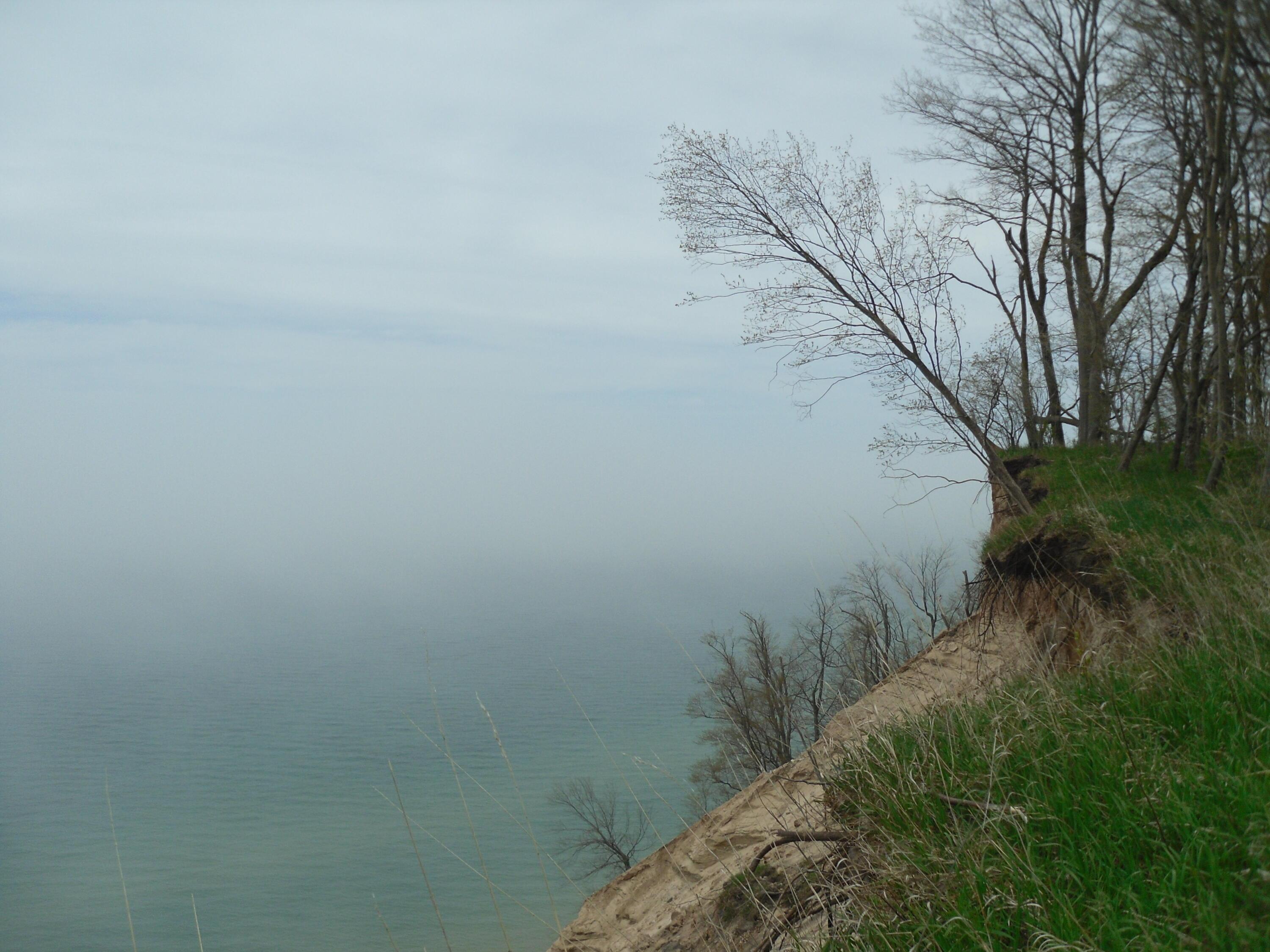 Image 4: SAM_0995