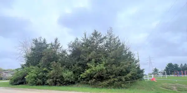 Image 2: Kelley Road Photo 1