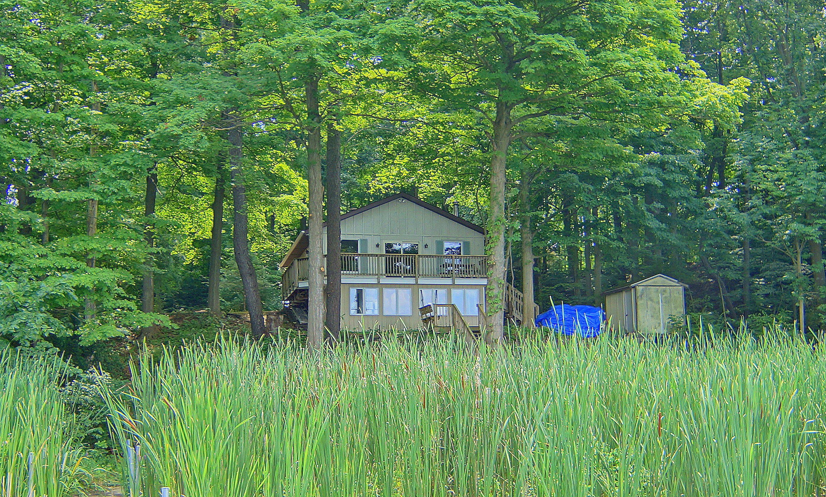 Image 1: DSC05119