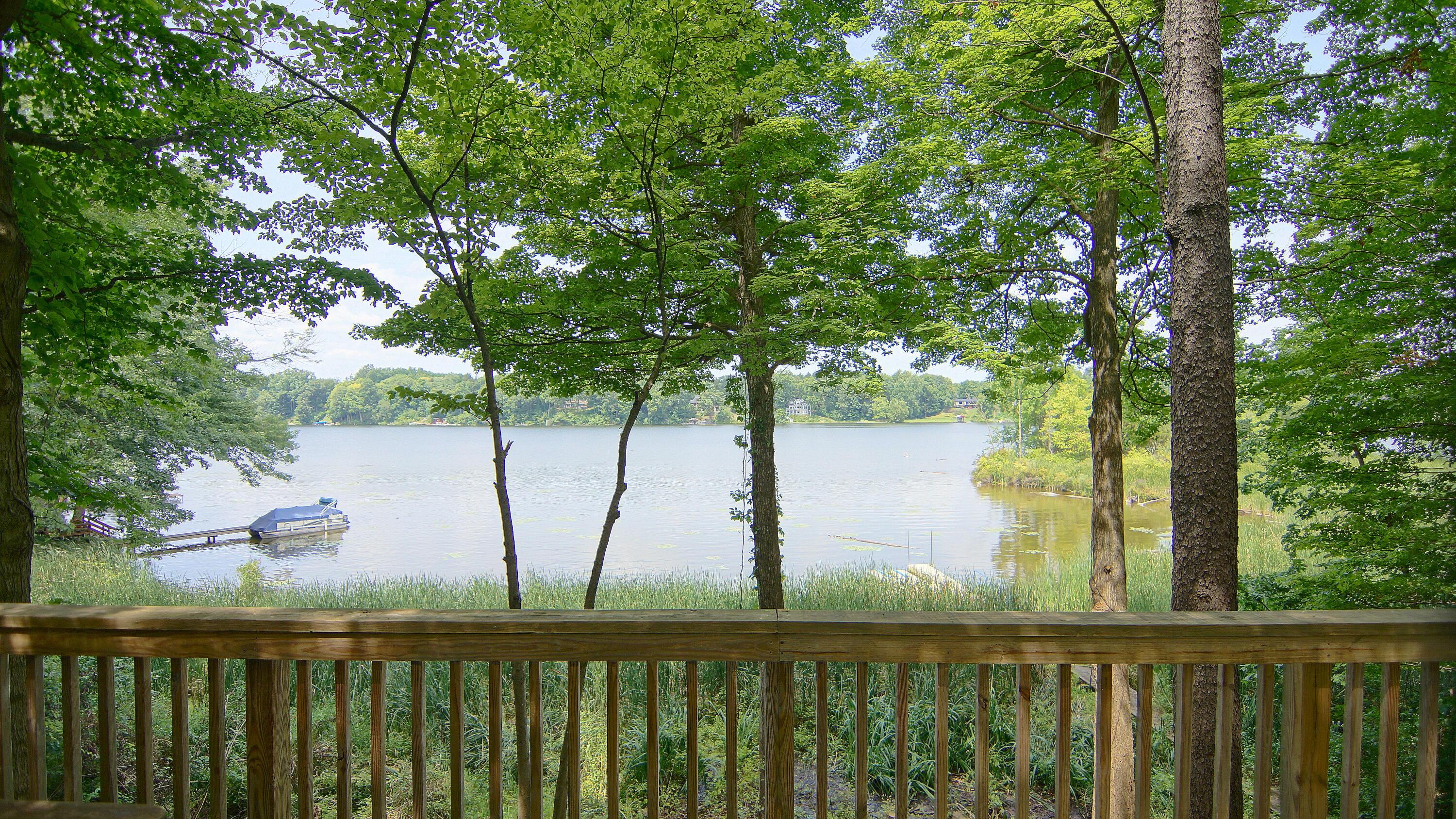 Image 4: DSC05128