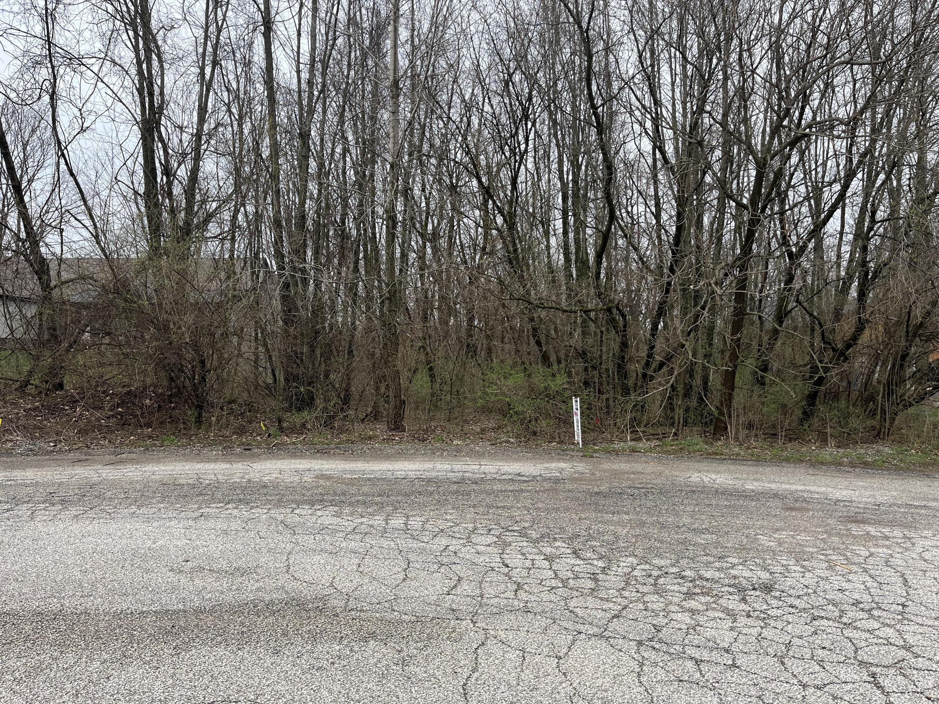 Image 1: lake lot