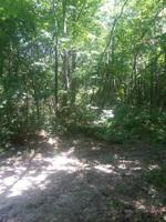 0 TIMBER Lane