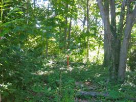 Old Hilltop Road