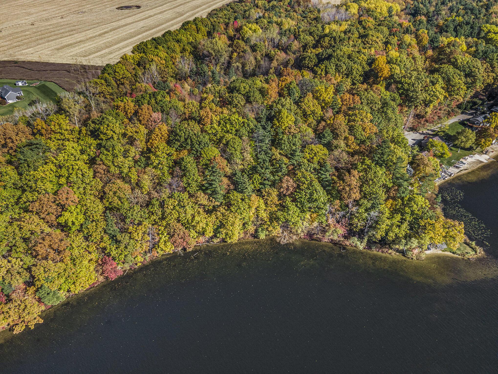 Image 3: 012_file_58