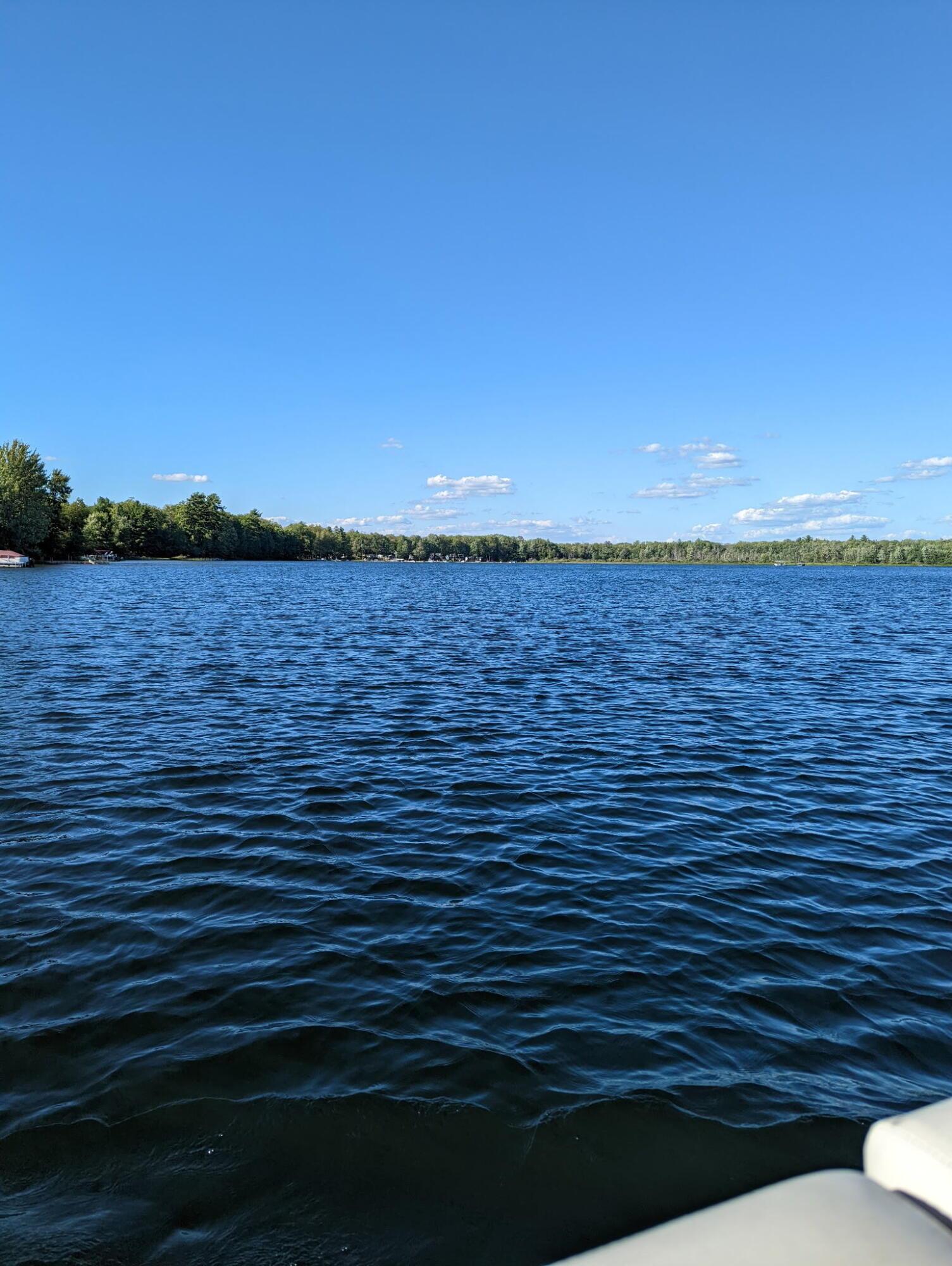 Image 3: view over Pickerel Lake