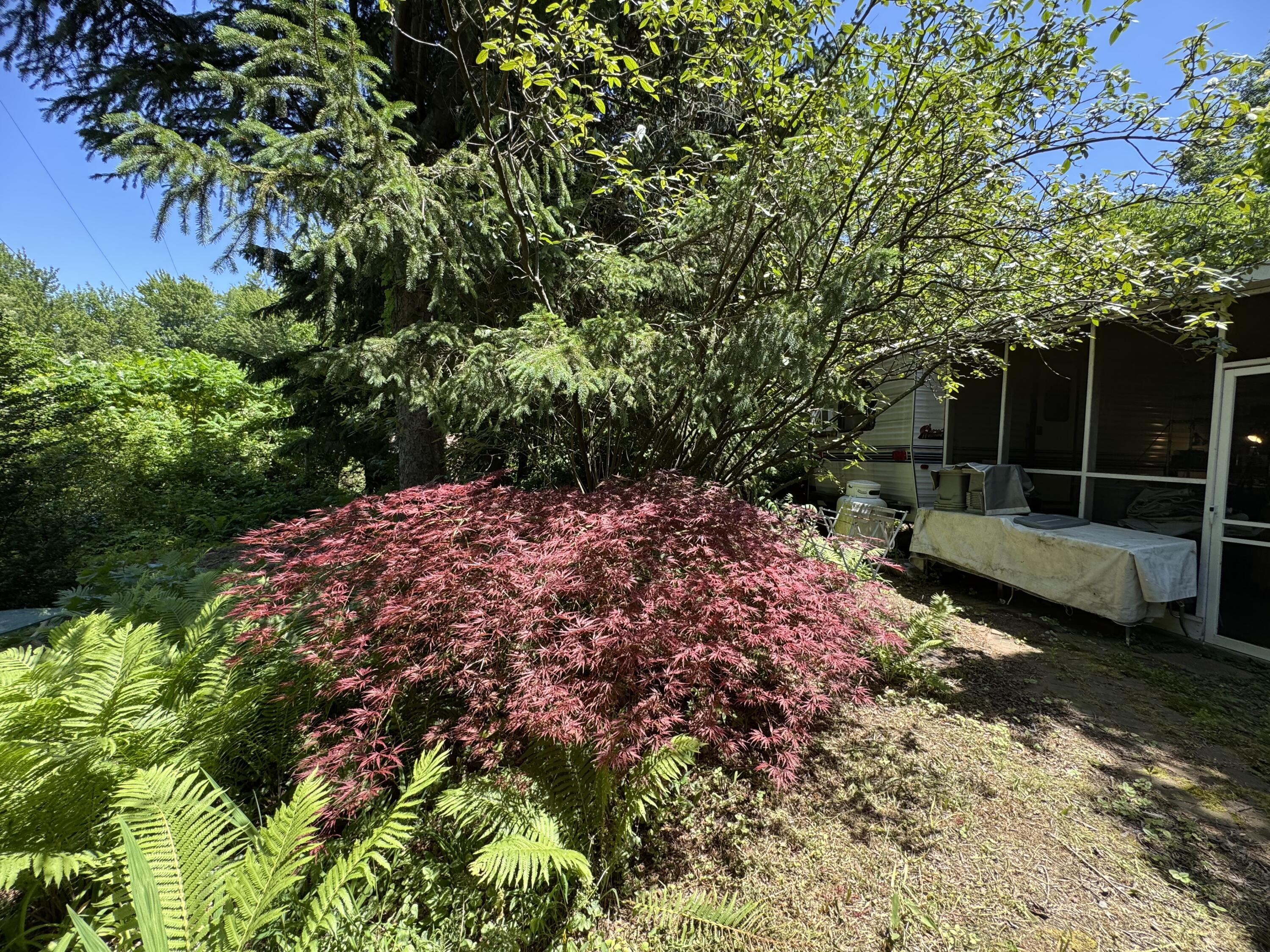 Image 3: Lot