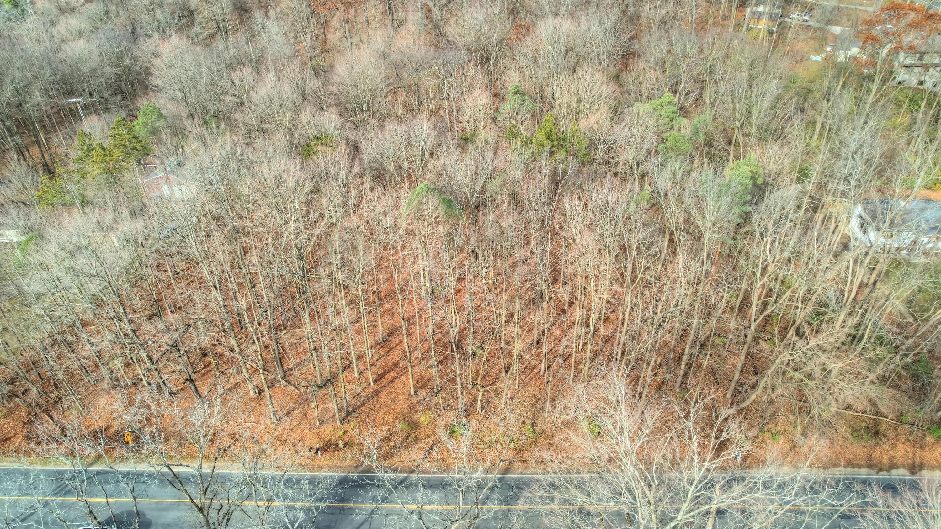 Image 4: DJI_0442_3_4_5_6