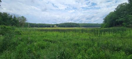 VL Trail of the Lakes