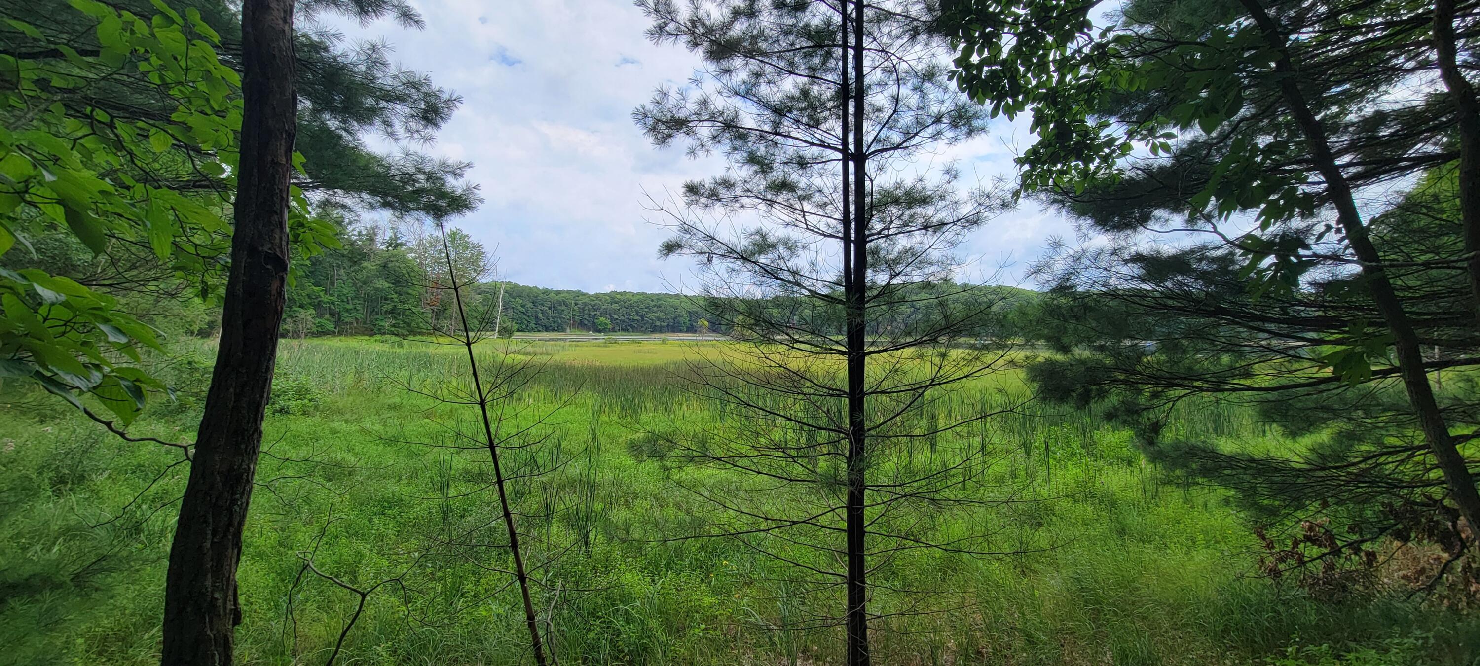 Image 2: 20250729_104602