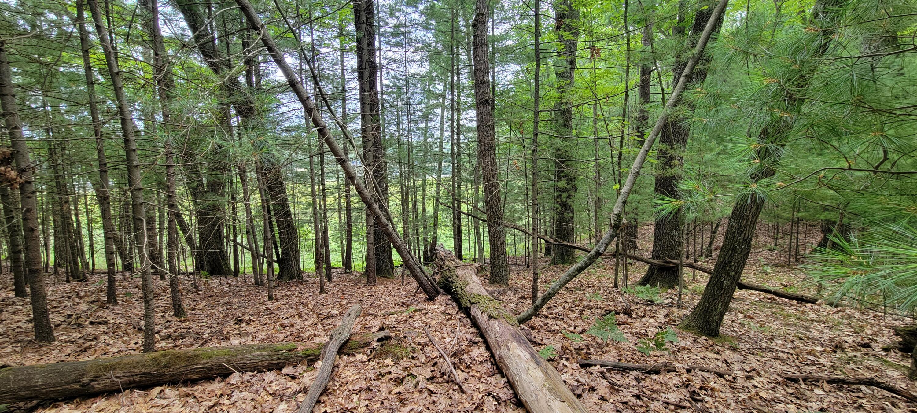 Image 3: 20250729_104404