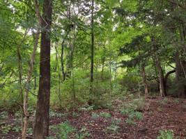 Lot 57 S Rea Avenue