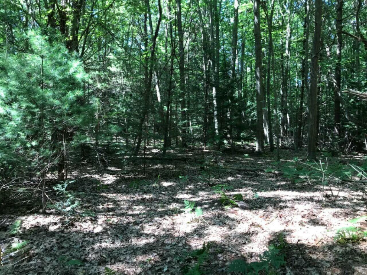 Image 3: tempImageB34wnA