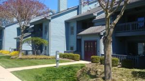210 Northshore Drive