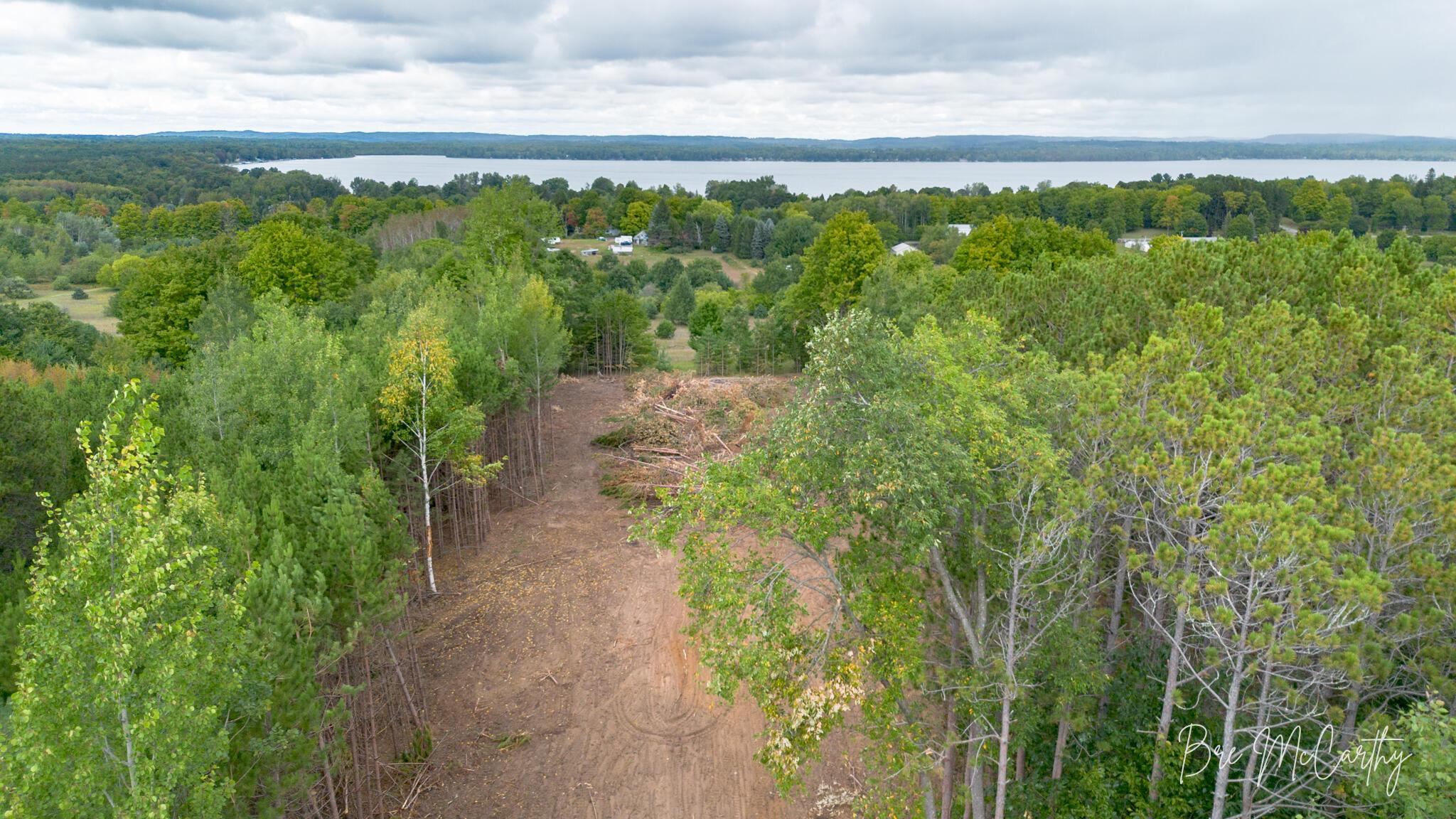 Image 1: View of Bear Lake From Build Site