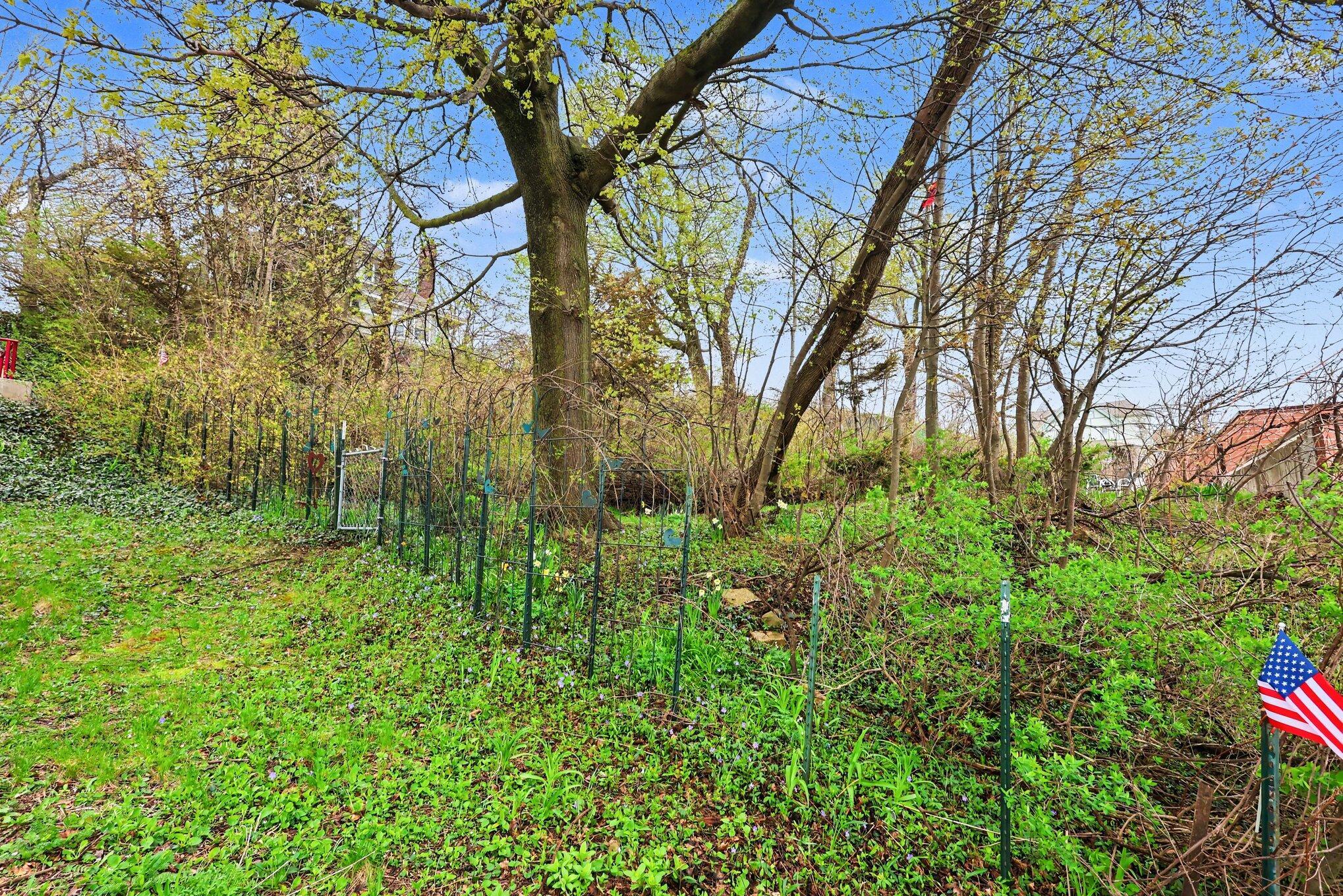 Image 2: 005_file_8275