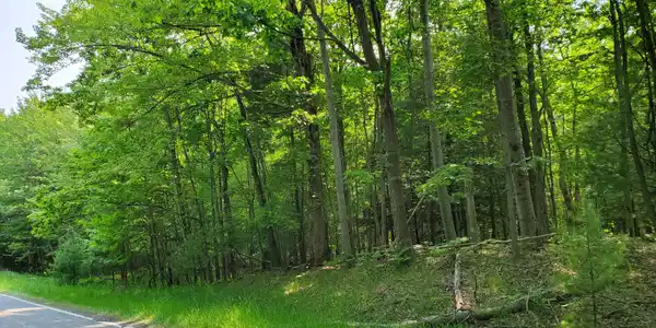 VL RIDGE ROAD
