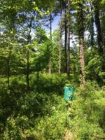 14 Misty Pines