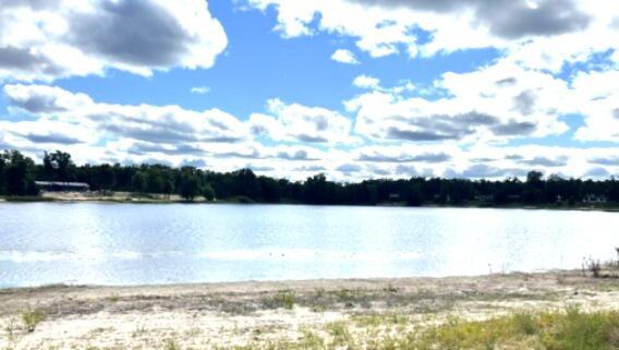 Image 4: IMG_2226 (1)