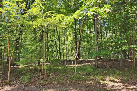 10933 Shawnee Trail