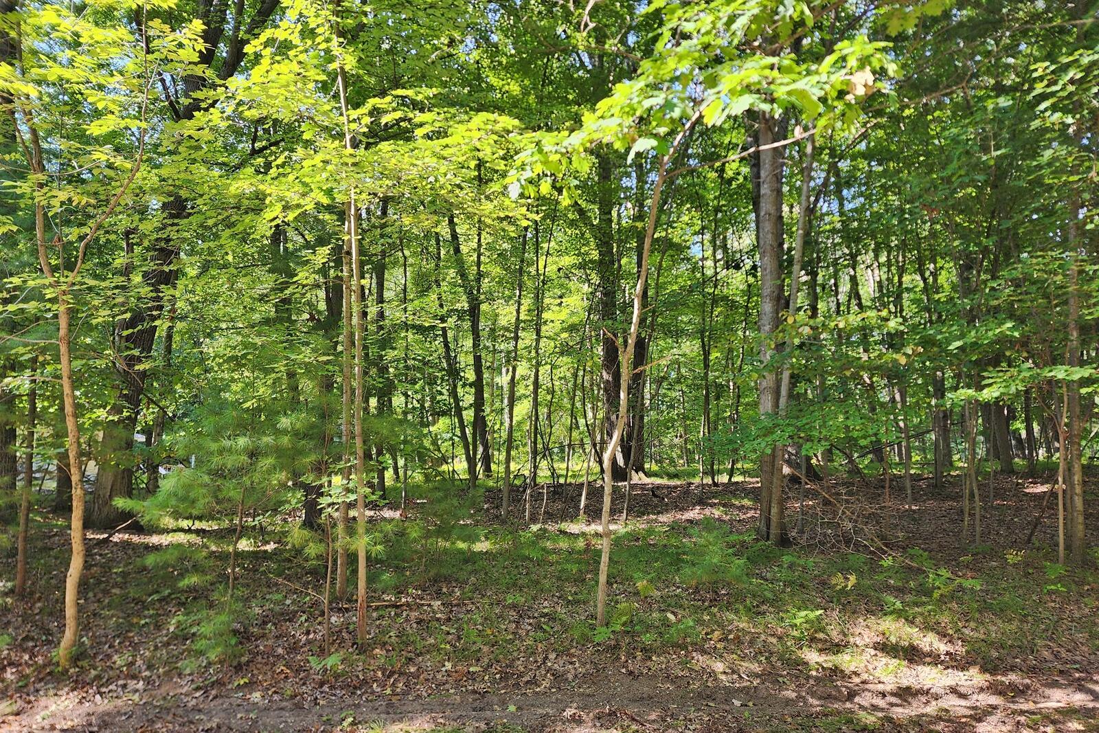 Image 1: 1