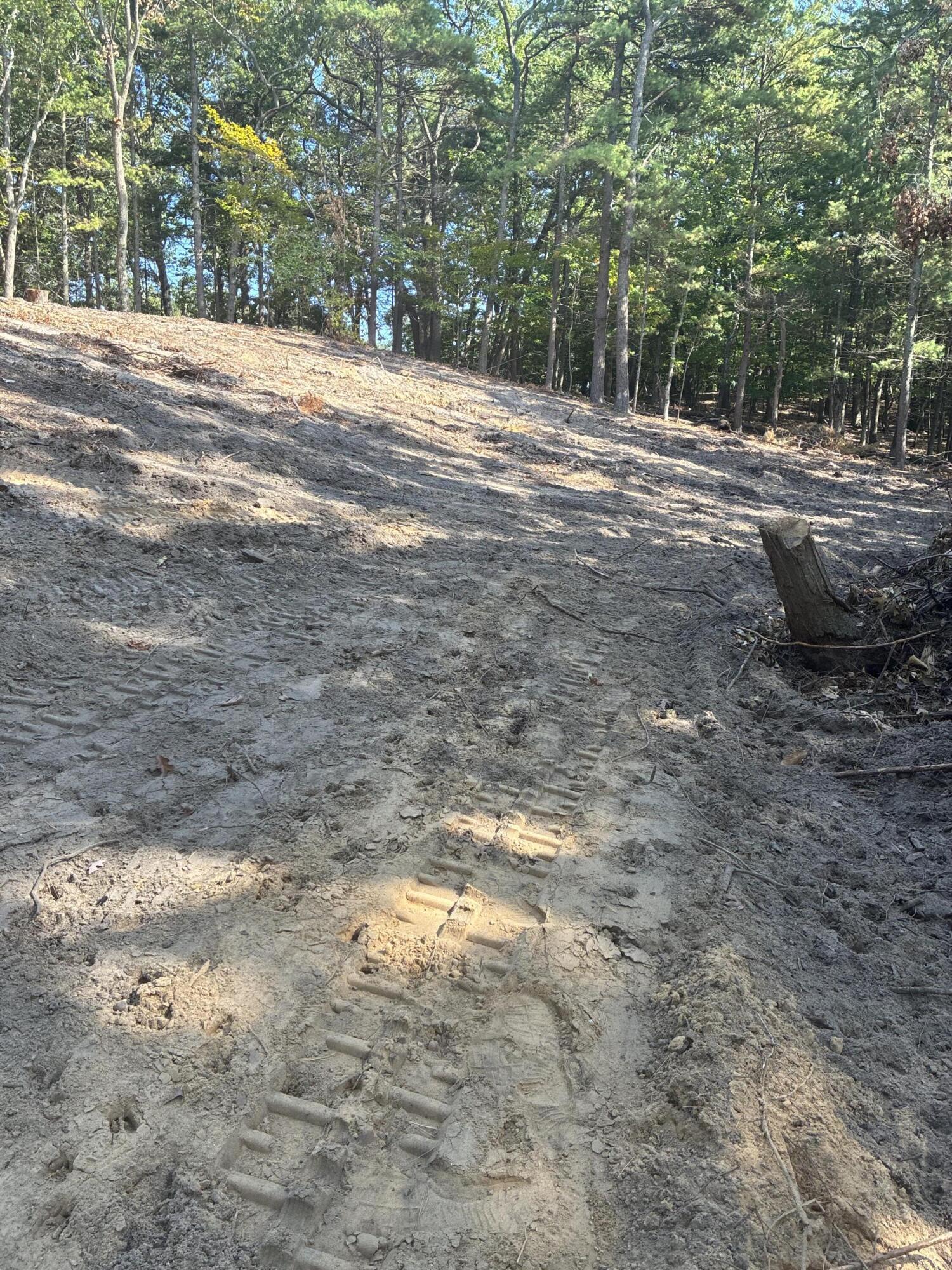 Image 3: drive at back part
