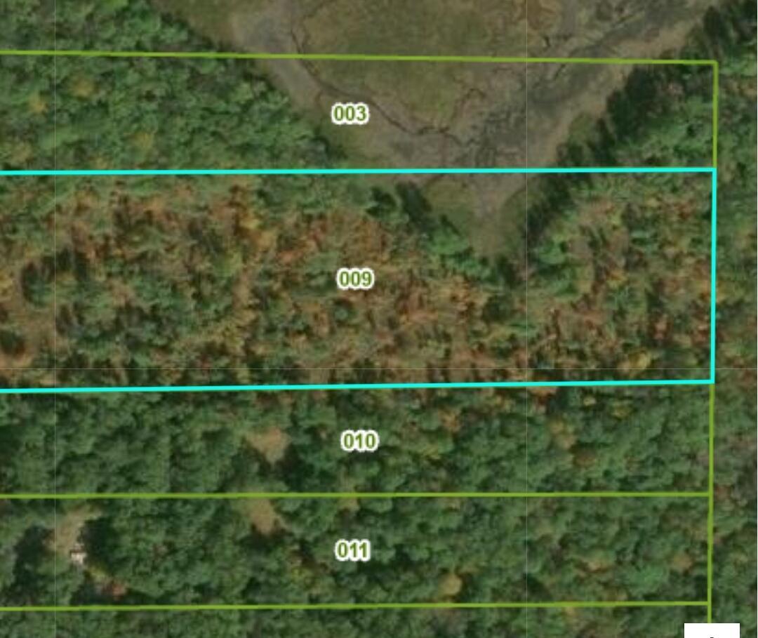 Image 4: Pond North side