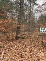 limberlost Lane