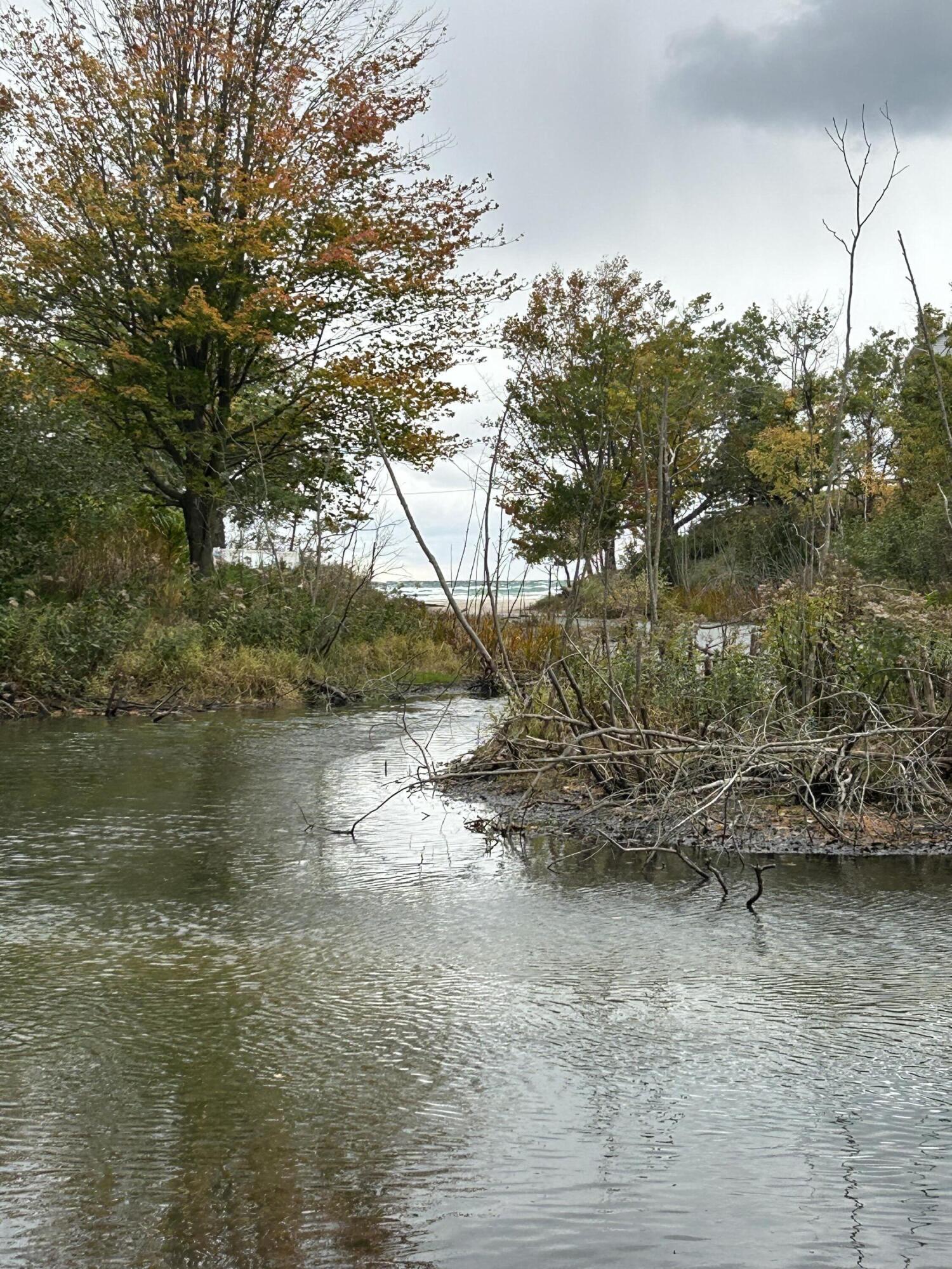 Image 4: IMG_0888