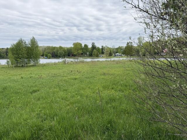 Image 3: IMG_3028