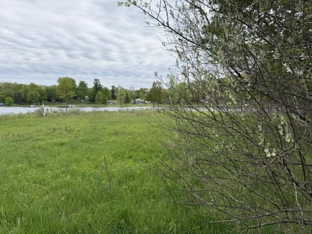 Image 4: IMG_3029