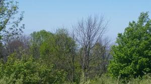 2313 S LAKESHORE Drive