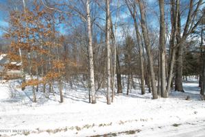 10904 Thornapple Drive #203