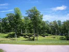 Lot 8 Ceylon Drive