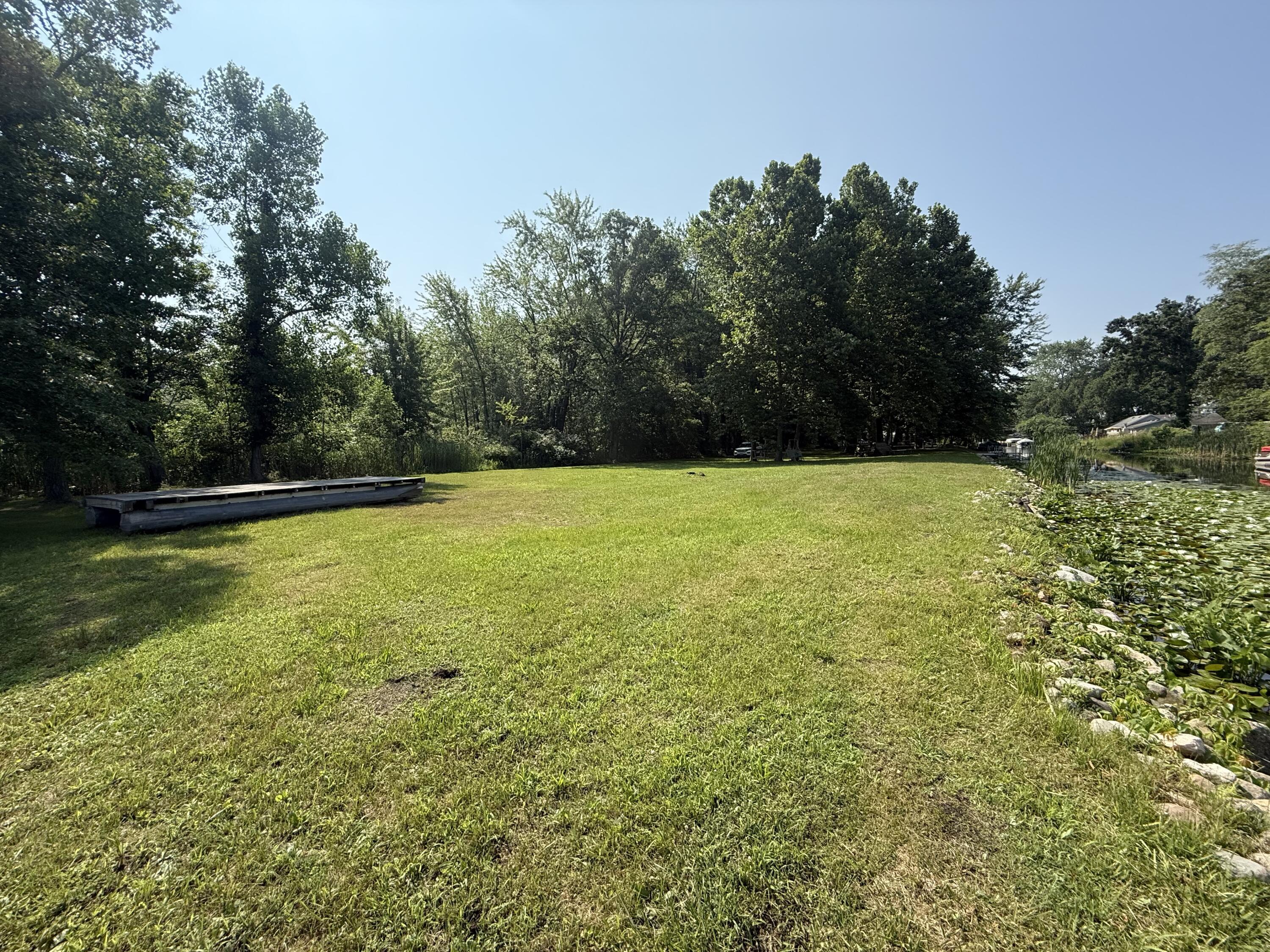 Image 3: IMG_0451