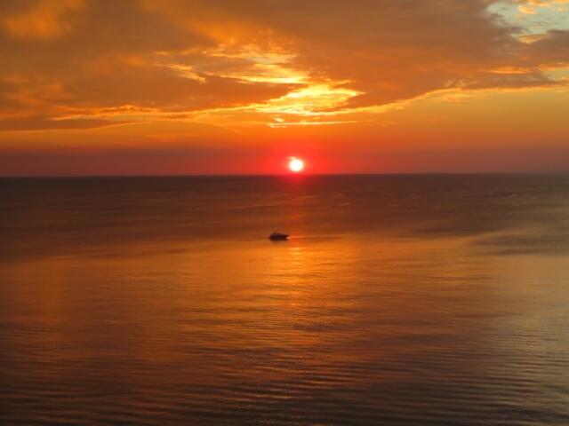 Image 4: IMG_0993