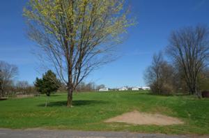 LOT 113 BAYSHORE 
