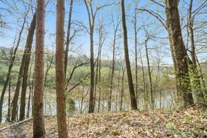 3618 Allegan Dam