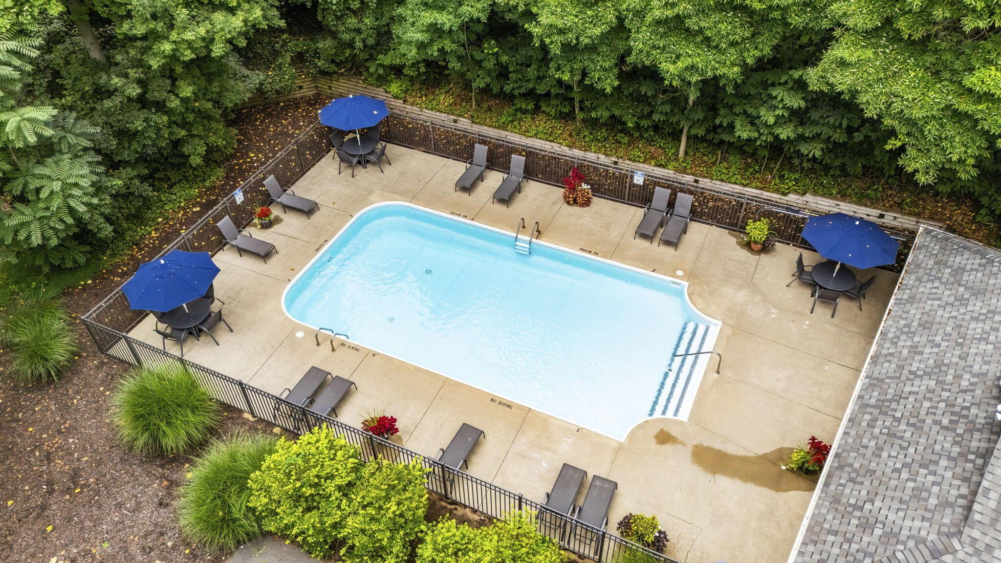 Image 4: Pool