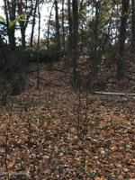 3417 Iroquois Trail